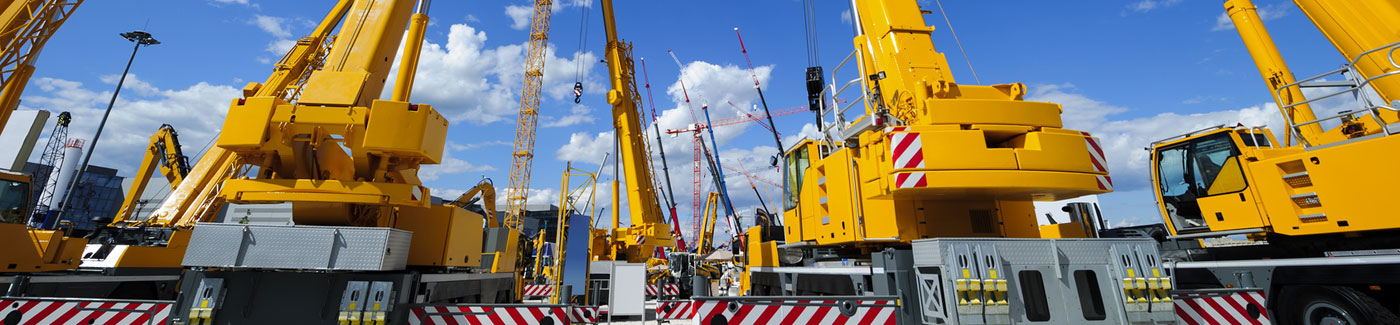 Fleet of Construction Cranes